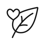 Sustainable Natural Candle Wax